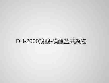 DH-2000 羧酸-磺酸盐共聚物 