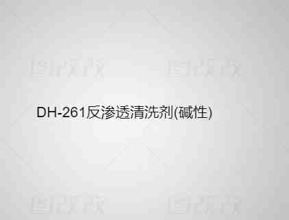 DH-261 反渗透清洗剂（碱性）